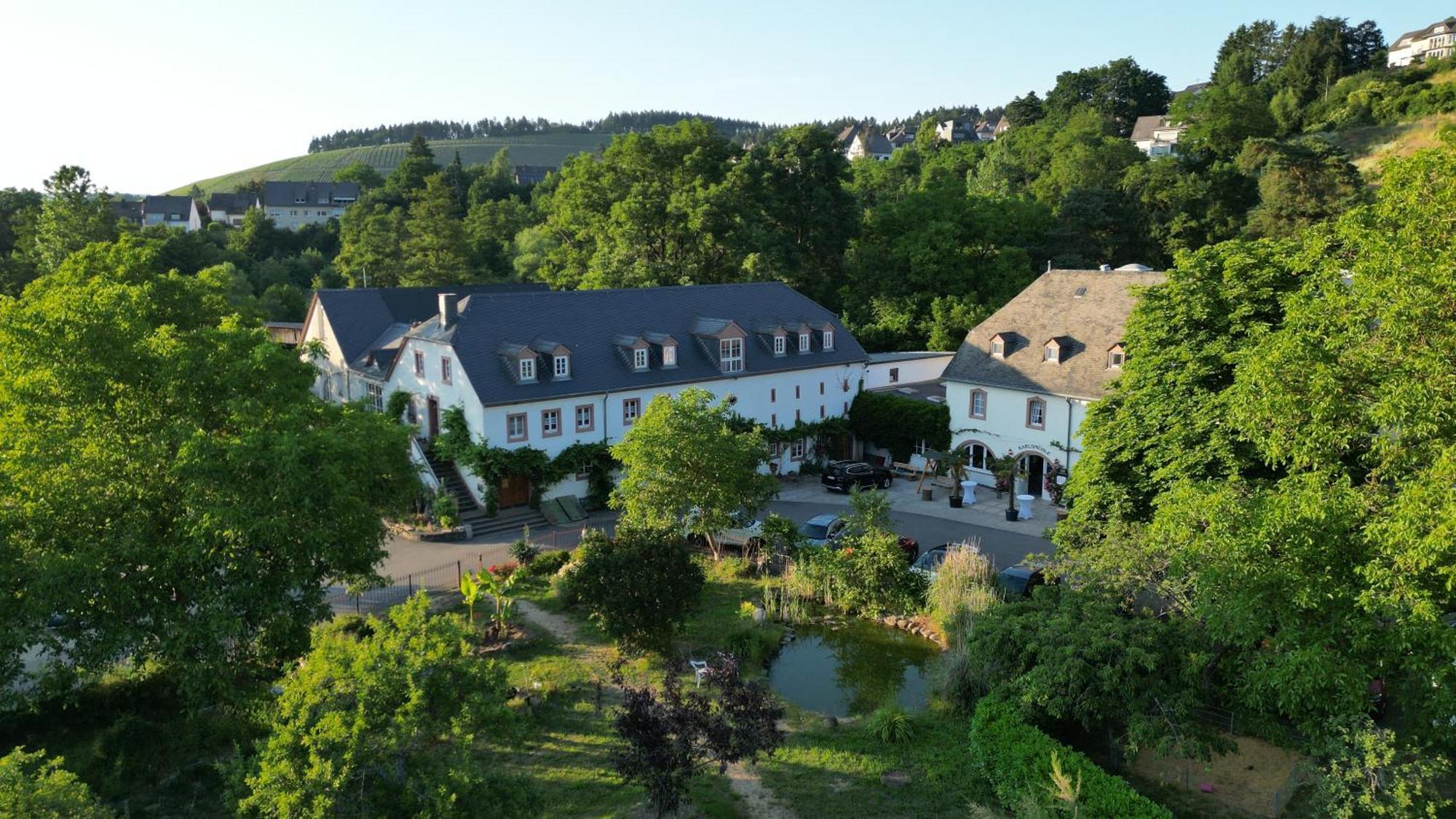 Hotel Und Weingut Karlsmuehle Mertesdorf Exterior foto